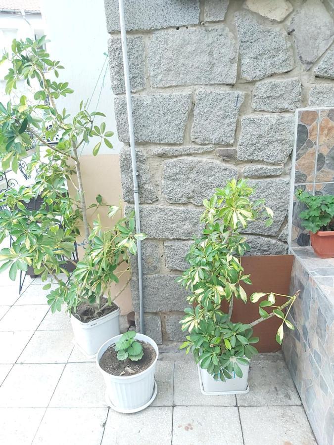 Kyshta Za Gosti Dari Rumi 1 Sozopol Zewnętrze zdjęcie